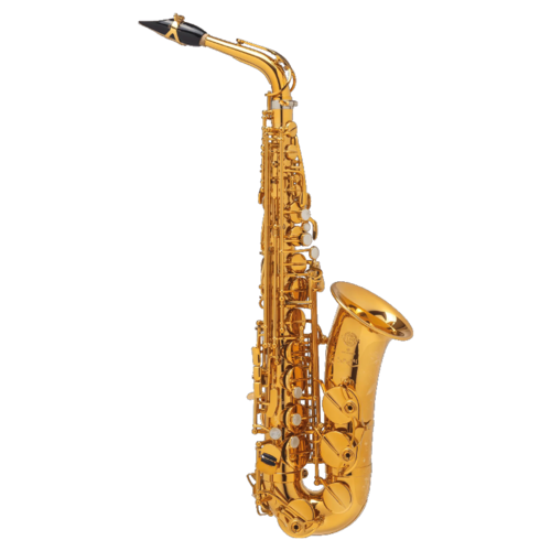 Saxo Alto Selmer Supreme Goldmessing