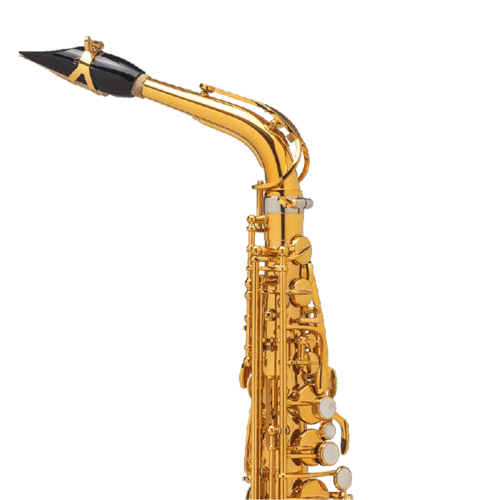 Saxo Alto Selmer Supreme Goldmessing