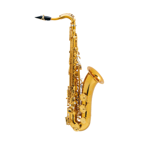 Sax Tenore Selmer Supreme Laccato