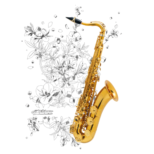 Sax Tenore Selmer Supreme Laccato