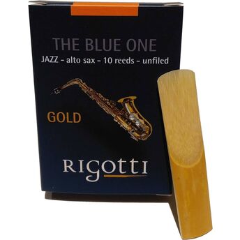 Ancia Sax Alto Rigotti Gold Jazz 2 1/2 Strong