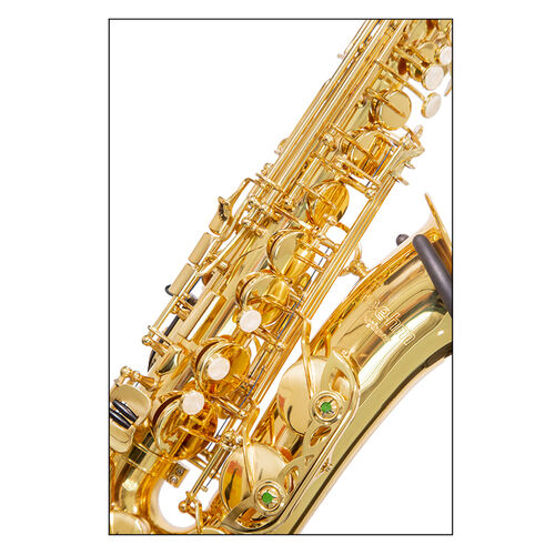 Saxo Alto Boehm Beginner Lacado