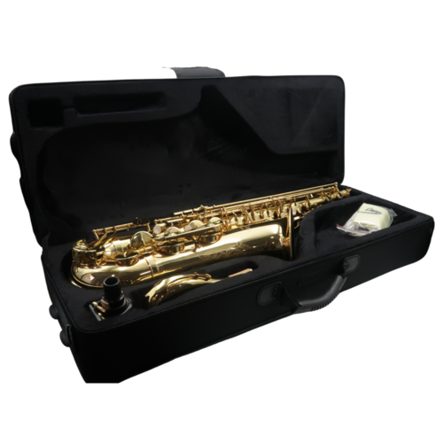 Sax Tenore Boehm Beginner Laccato