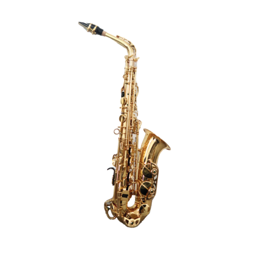 Sax Alto Boehm Study Laccato